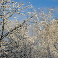 31 декабря 2024, :: Николай