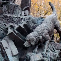 Спасатель :: Александр Чеботарь