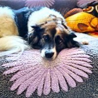 Ося :: Наталья 