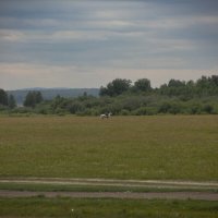 Всадник :: Nataliya Belova