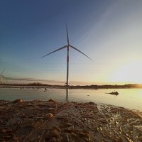 Молодые ветра :: Павел Кореньков