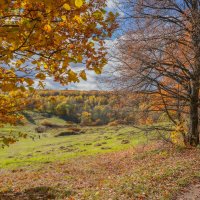 Октябрь в Царицыно... :: Владимир Жданов