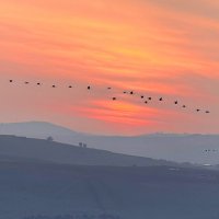 Две поэмы :: Александр Деревяшкин