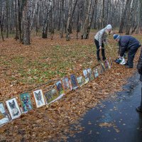 Битцевский лесопарк. :: Aleksey Afonin