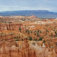 Чудеса природы :: Владимир Соколов (svladmir)