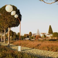 Фонари. :: Юрий Полторыхин.