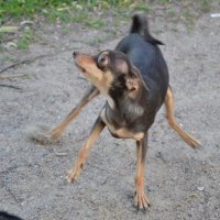 Экстренное торможение :: Надежда 