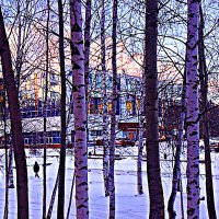 Ноябрь...Рассветает. Мороз! :: Владимир 