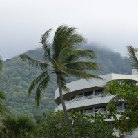 Тайланд, сезон дождей :: Марина 