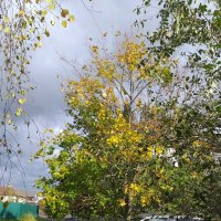 уж небо осенью дышало... :: Галина Флора