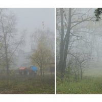 туманная осень :: Лера 