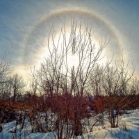 Рассветное ГАЛО! :: Елена Хайдукова ( Elena Fly )