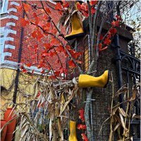 Осенняя инсталляция. :: Валерия Комова Осенняя инсталляция. :: Валерия Комова