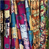 В сувенирном города котов и кошек. :: Валерия Комова