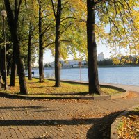 набережная Екатеринбурга :: Елена Шаламова