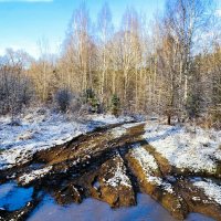 Природа в конце ноября (поход за фотосюжетами). :: Милешкин Владимир Алексеевич 