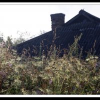 */*/* :: Алексей Дмитриев