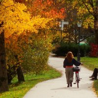 Осенние прогулки :: Юрий. Шмаков