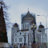 Реставрация. :: Наталья Вязигина