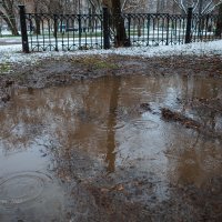 Капель талого снега :: Александр Синдерёв