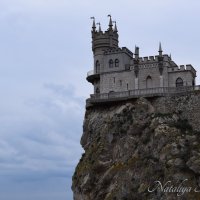 Природа Крыма :: Amazing Cosmea