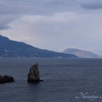 Природа Крыма :: Amazing Cosmea