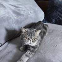 Серый на сером :: Евгений Васильев