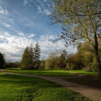 Погожий ноябрь... :: Николай Гирш Погожий ноябрь... :: Николай Гирш