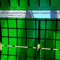 За ограждением. :: Василий Палий