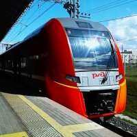 Ласточка. :: Василий Палий