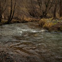 "Кукшум. Канун декабря"© Фоторабота. :: Владимир Макаров