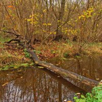 "...над тихою речушкой без названия..." :: Андрей K.