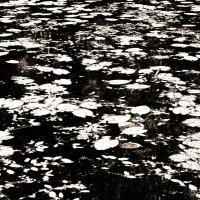 Фотография :: Денис Безногов