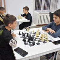 Эх вы кони, мои кони, Ох вы, милые слоны!..) :: Константин Штарк