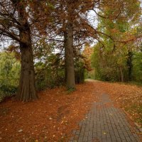 Время рыжих... :: Николай Гирш