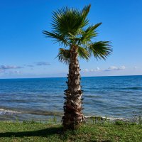 Абхазия :: Александр Леонов Абхазия :: Александр Леонов