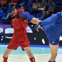 Самбо, но боевое, с ударами... :: Александр Гриднев