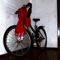 Готов к осенней непогоде. :: Василий Палий