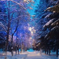 Ноябрьский вечер. :: ОКСАНА ЮРЬЕВНА ШВЕЦ