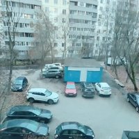 В нашем дворе в ноябре :: Дмитрий Никитин