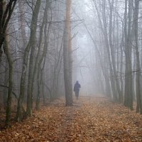 О туманных перспективах декабря... :: Андрей Заломленков