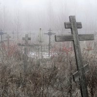 На заброшенных российских погостах... :: Андрей Заломленков