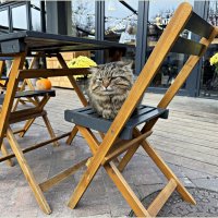 Первый посетитель.кафе.:) :: Валерия Комова