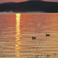 озеро Таватуй :: Елена Шаламова озеро Таватуй :: Елена Шаламова