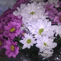 ВСЕМ МАМАМ ПОСВЯЩАЕТСЯ! :: Елена Семигина