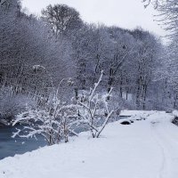 Первый снег :: Рита Симонова