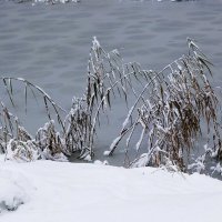 Первый снег :: Рита Симонова