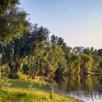 **** :: Андроник Александр **** :: Андроник Александр