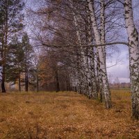 *** :: Андрей Андрианов *** :: Андрей Андрианов