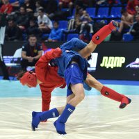 Бросок! :: Александр Гриднев